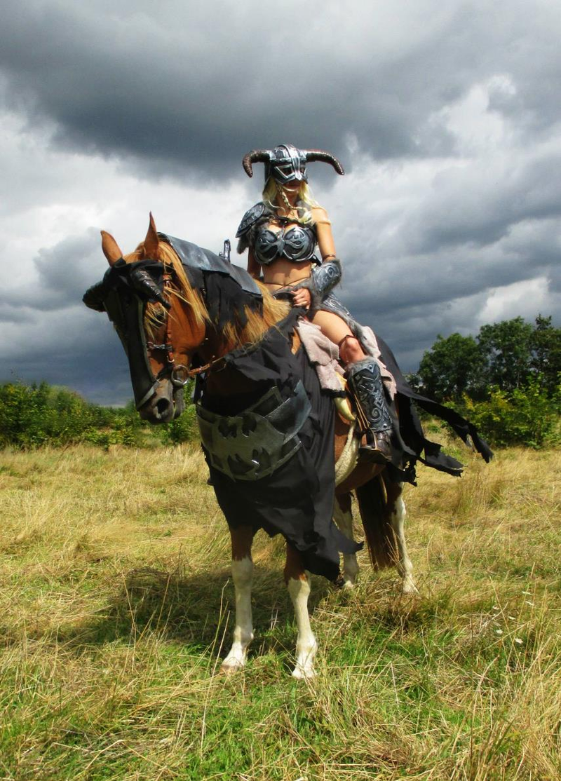 Illustration for article titled Awesome Skyrim Cosplay Even Includes Horse Armor